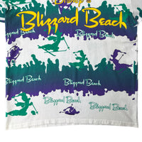 Vintage 90s Disney Blizzard Beach tee size XL