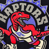Vintage 90s Toronto Raptors big logo tee size XL