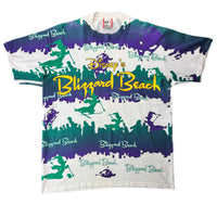 Vintage 90s Disney Blizzard Beach tee size XL