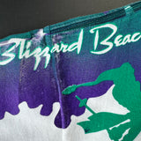 Vintage 90s Disney Blizzard Beach tee size XL
